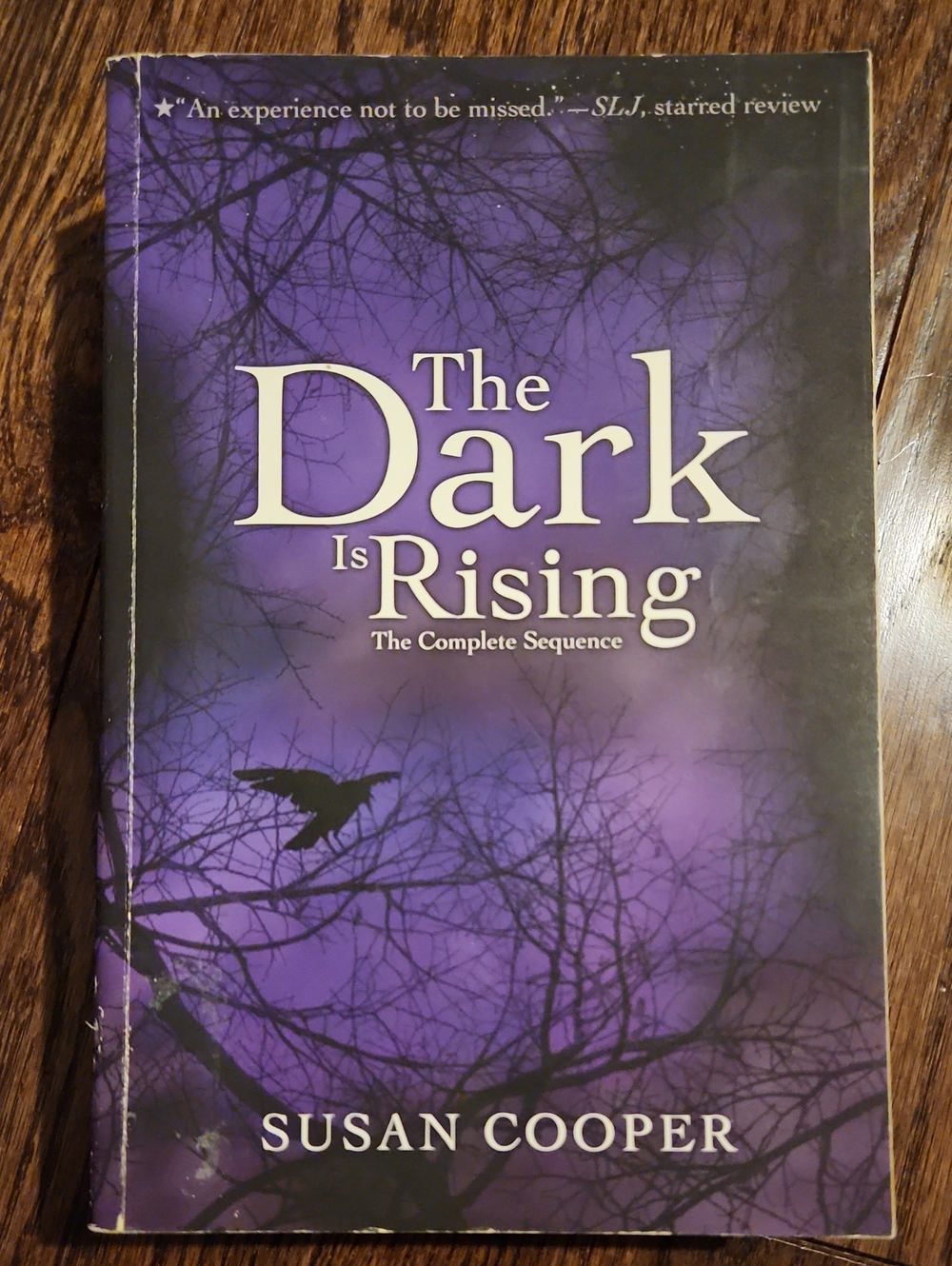 The Dark Is Rising Series by Susan Cooper